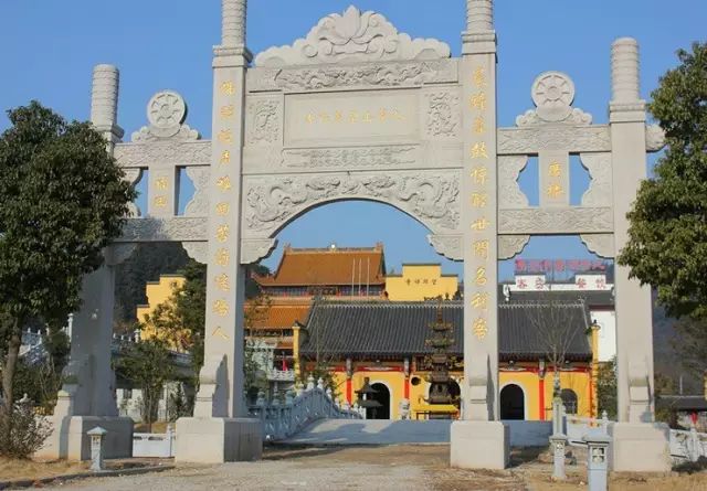 仙寓山石台富硒茶