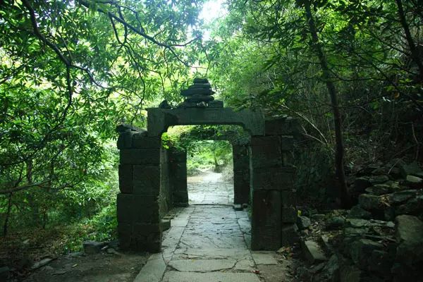 仙寓山石台富硒茶