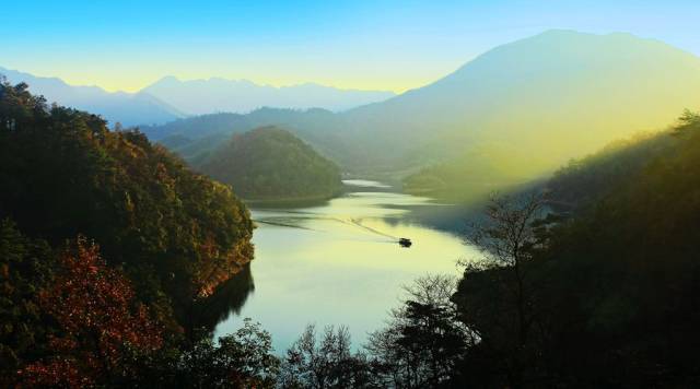 仙寓山石台富硒茶