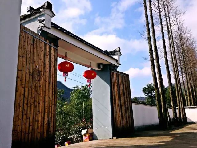 仙寓山石台富硒茶