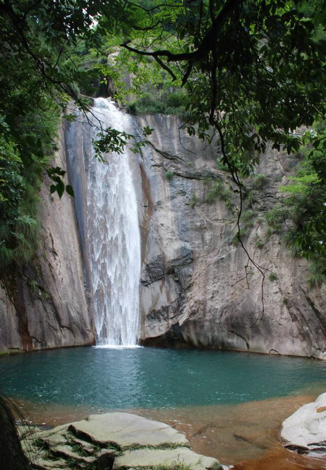 仙寓山石台富硒茶
