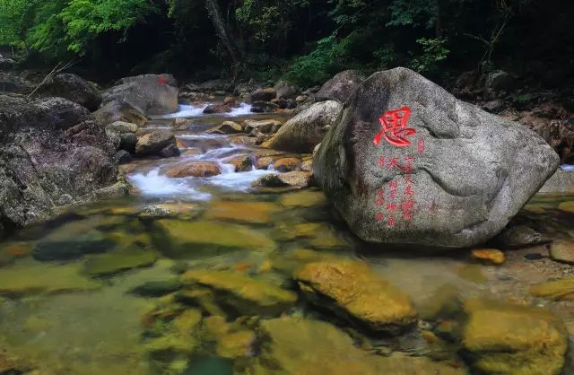 仙寓山石台富硒茶