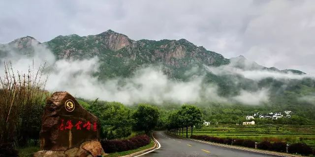 仙寓山石台富硒茶