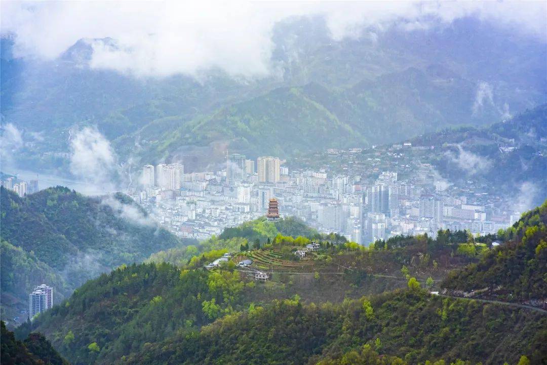 紫阳县富硒茶介绍