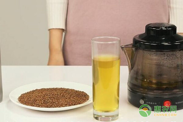 黑苦荞茶该如何挑??？