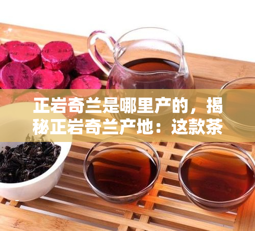 正岩奇兰是哪里产的，揭秘正岩奇兰产地：这款茶叶究竟来自何处？