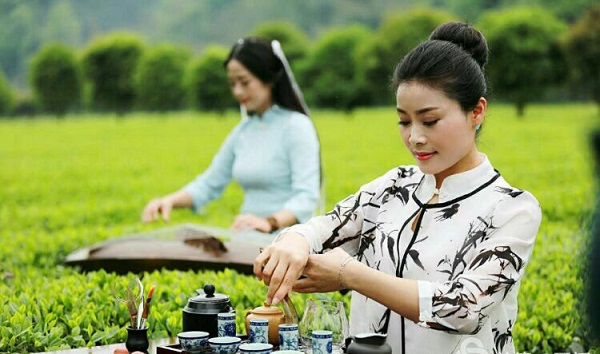 湖南富硒茶供应商