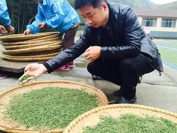 湖南富硒茶供应商