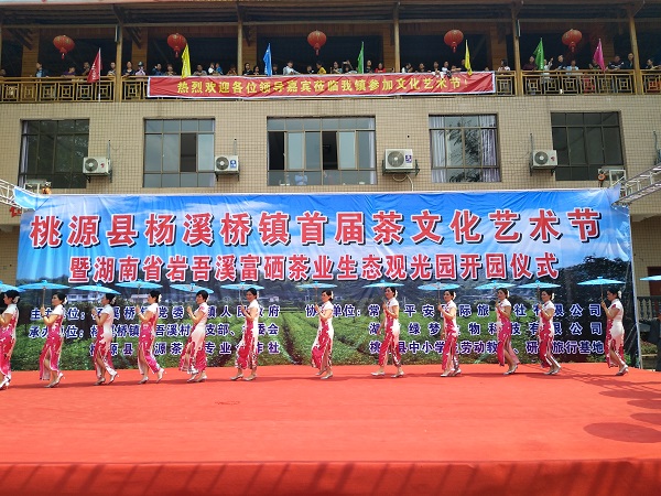 湖南富硒茶供应商