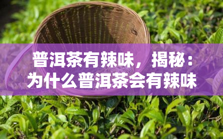 高稀富硒茶的作用