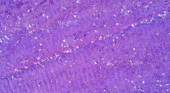 紫阳县富硒茶名片(紫阳富硒茶文化)-硒宝网