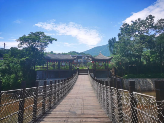 富硒野茶 张家界