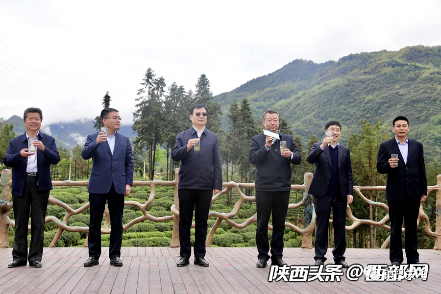 陕西富硒茶多少度
