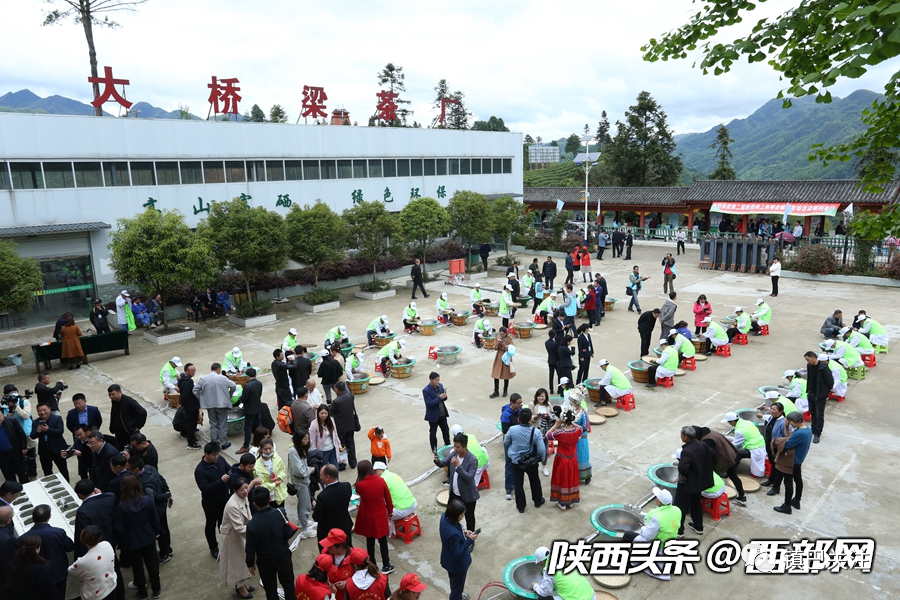 陕西富硒茶多少度