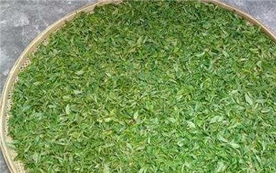 仙人山普洱茶价格表图片，【高清图】仙人山普洱茶价格表，一目了然！