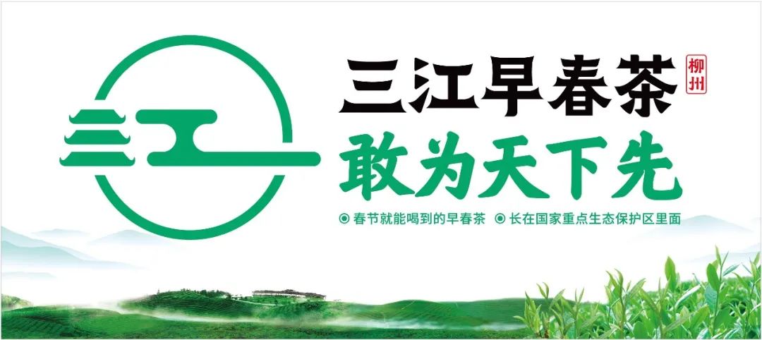 早春富硒茶策划案