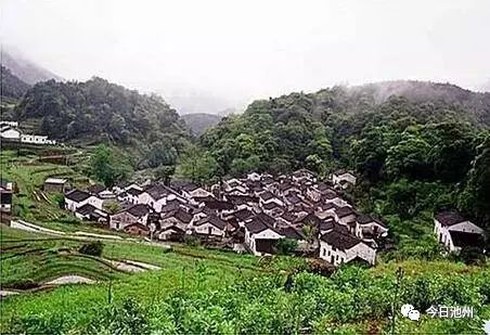 云雾富硒茶怎么样