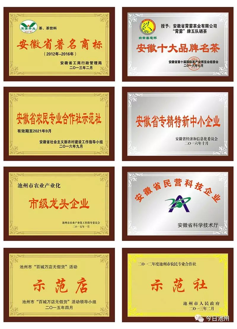 云雾富硒茶怎么样