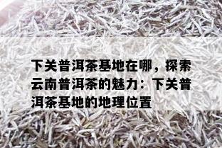 下关普洱茶基地在哪，探索云南普洱茶的魅力：下关普洱茶基地的地理位置