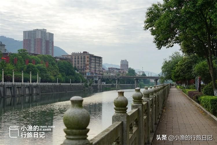 陕西富硒茶好不好