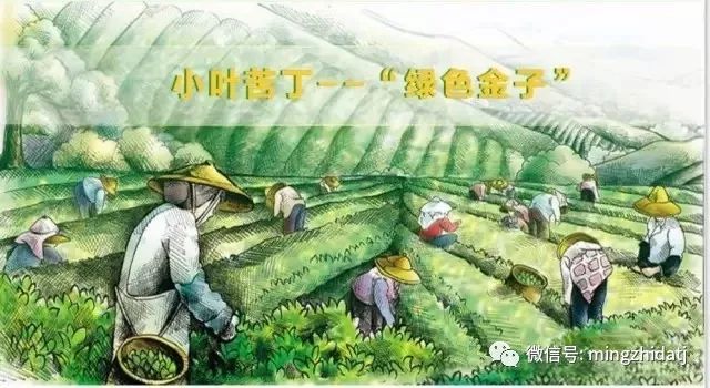 富硒茶对肝病好吗