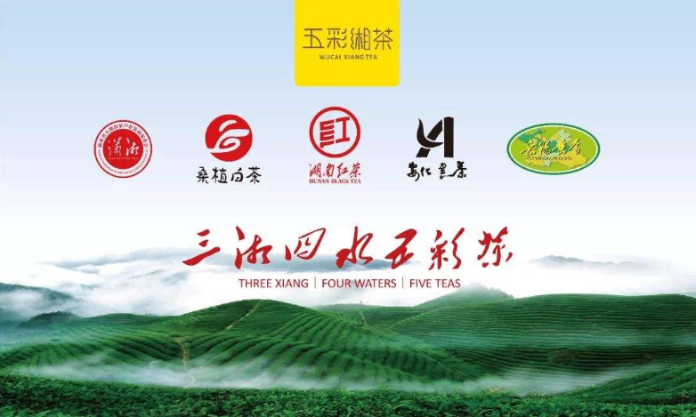 罗溪野生富硒黑茶