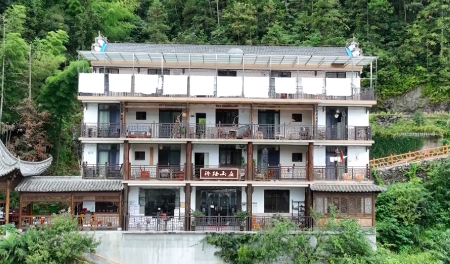 石台仙寓富硒野茶