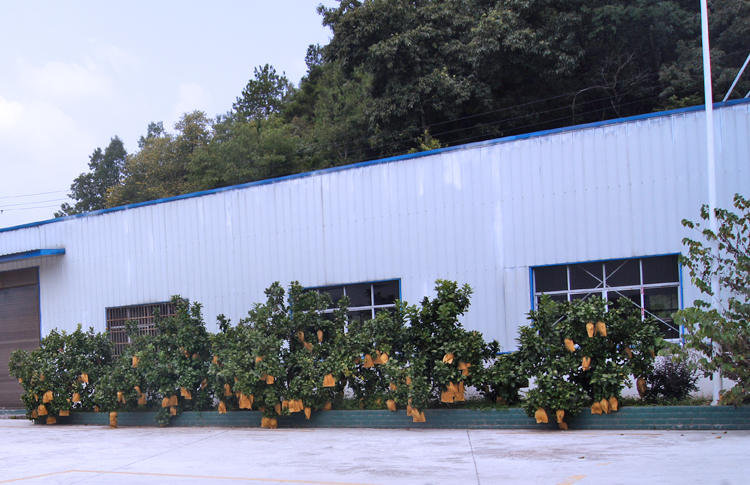 富硒茶能煮奶茶吗(奶茶能补水吗)-硒宝网