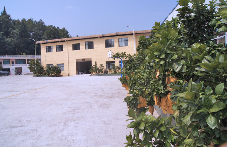 富硒茶能煮奶茶吗(奶茶能补水吗)-硒宝网