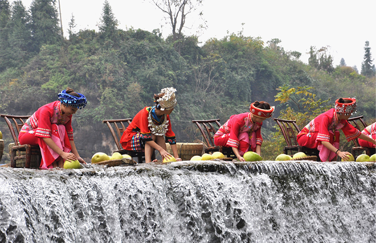 富硒茶能煮奶茶吗(奶茶能补水吗)-硒宝网