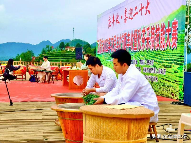 万源富硒茶哪里买