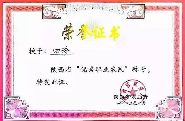 千亩富硒金茶基地