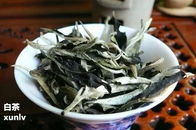 富硒茶泡多长时间(富硒茶用多少度的水冲泡)-硒宝网