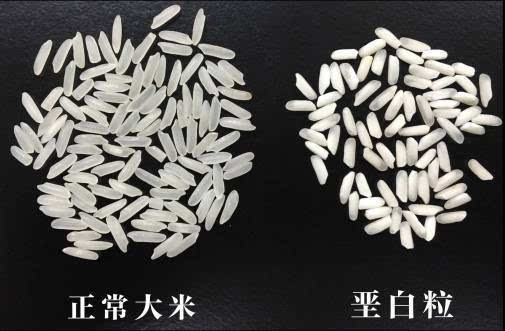 富硒大米喷洒硒肥