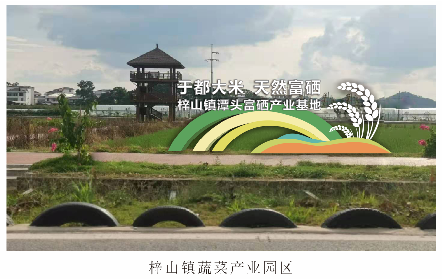 于都梯田富硒大米