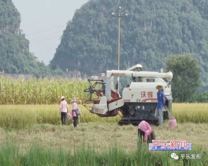 富硒大米生态健康
