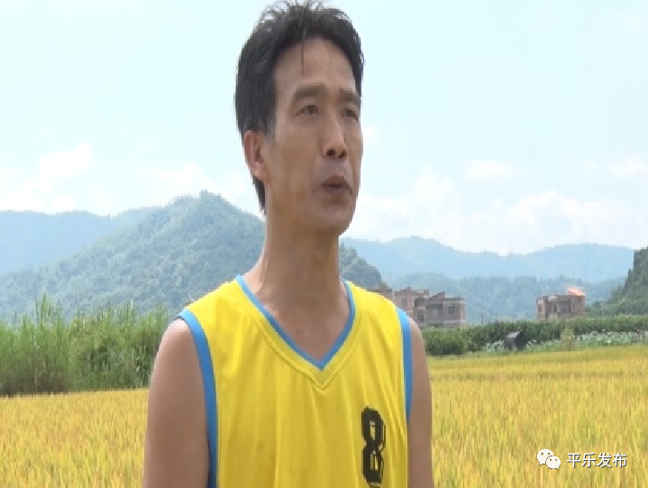 富硒大米生态健康
