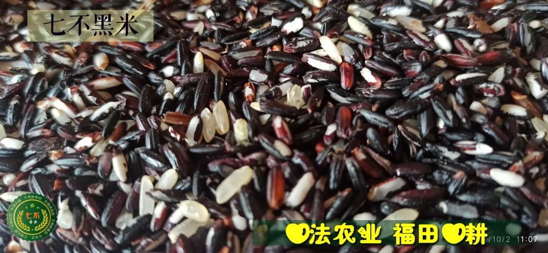 预定有礼-订购大米送生姜。2022年秋收浙江仙居新米⑤红籼米④黑米⑨勇优12粳米⑥糯米⑩香米华优18籼米 ⑾嘉丰优2号籼米