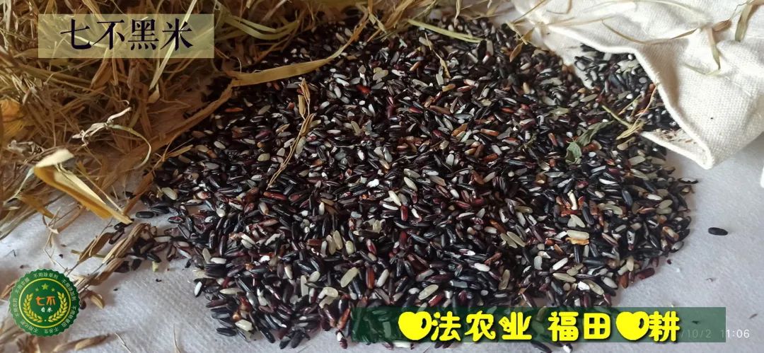 预定有礼-订购大米送生姜。2022年秋收浙江仙居新米⑤红籼米④黑米⑨勇优12粳米⑥糯米⑩香米华优18籼米 ⑾嘉丰优2号籼米