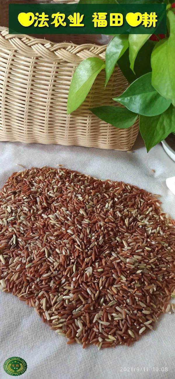 预定有礼-订购大米送生姜。2022年秋收浙江仙居新米⑤红籼米④黑米⑨勇优12粳米⑥糯米⑩香米华优18籼米 ⑾嘉丰优2号籼米