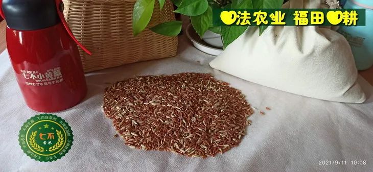 预定有礼-订购大米送生姜。2022年秋收浙江仙居新米⑤红籼米④黑米⑨勇优12粳米⑥糯米⑩香米华优18籼米 ⑾嘉丰优2号籼米