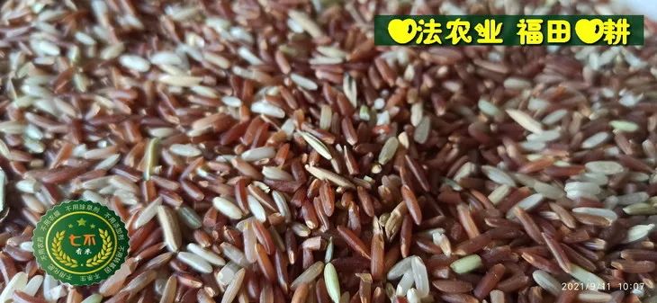 预定有礼-订购大米送生姜。2022年秋收浙江仙居新米⑤红籼米④黑米⑨勇优12粳米⑥糯米⑩香米华优18籼米 ⑾嘉丰优2号籼米