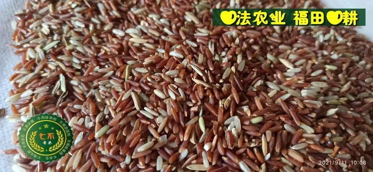 预定有礼-订购大米送生姜。2022年秋收浙江仙居新米⑤红籼米④黑米⑨勇优12粳米⑥糯米⑩香米华优18籼米 ⑾嘉丰优2号籼米