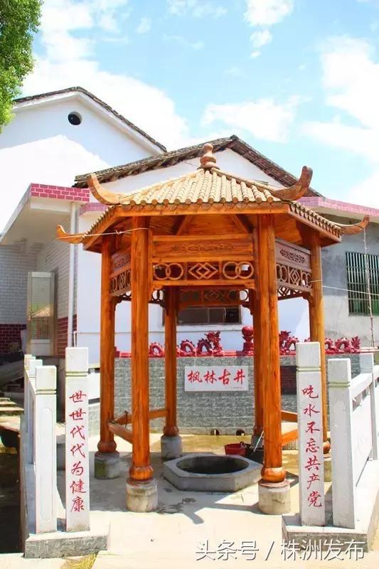 （枫林古井。图来自醴陵旅游）