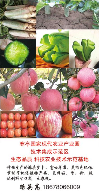 山东莒县富硒大米