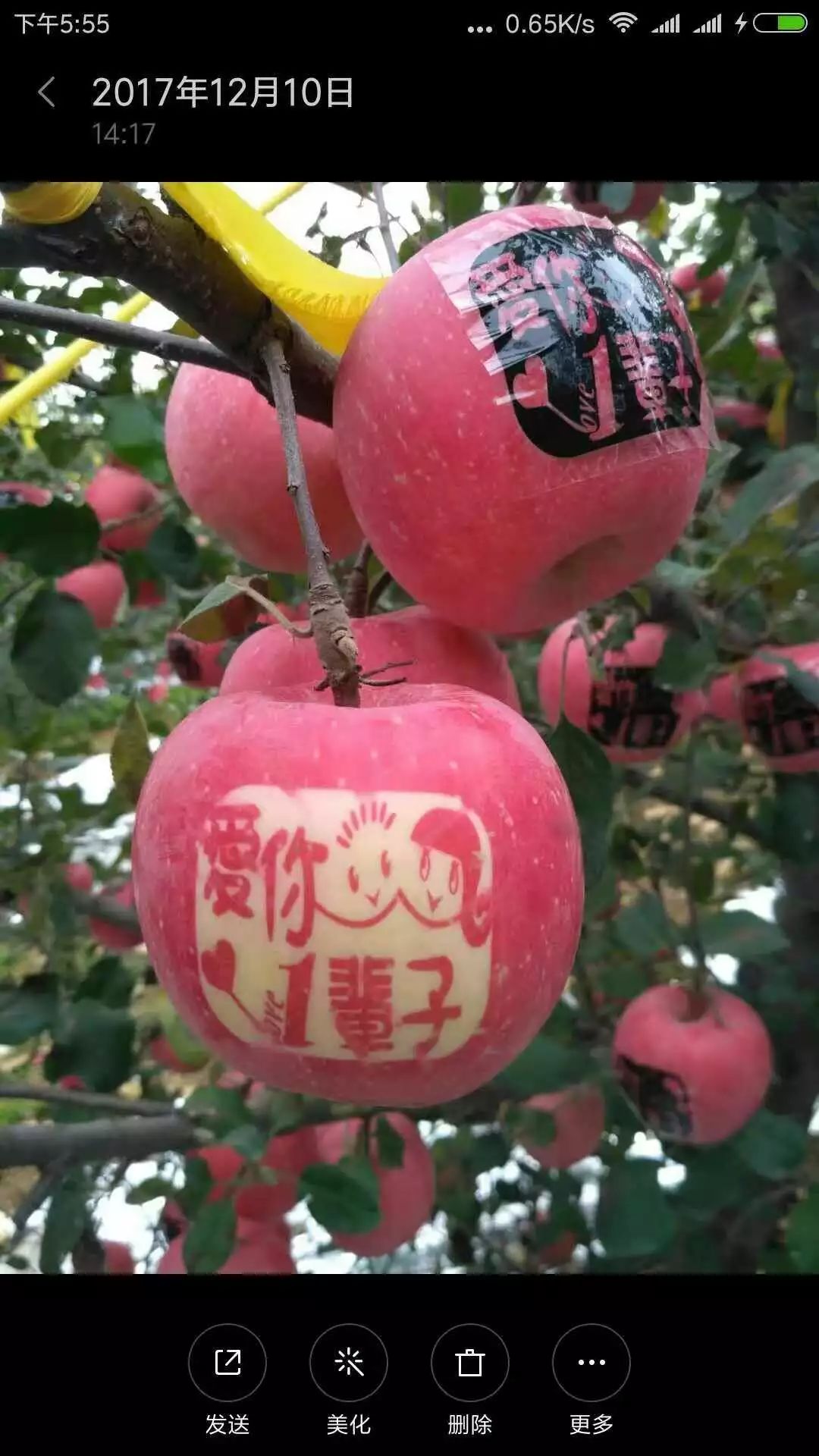 山东莒县富硒大米