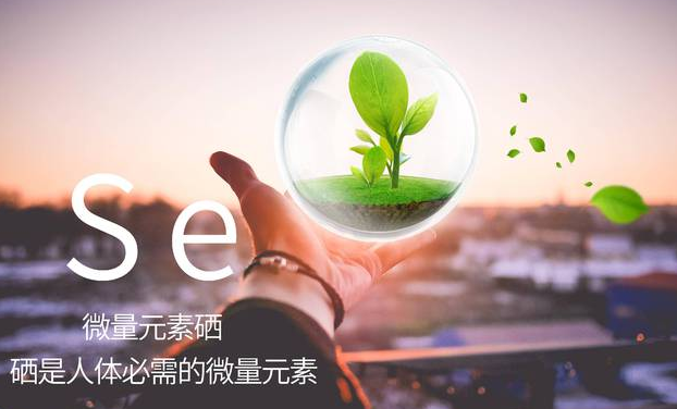 富硒大米建设方案