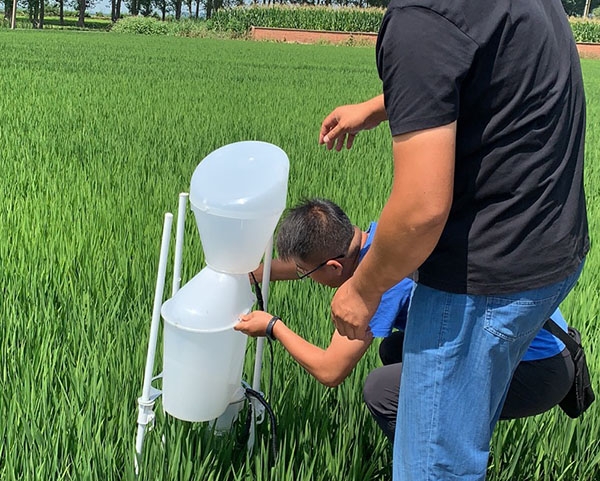 佳木斯批发富硒大米种植厂
