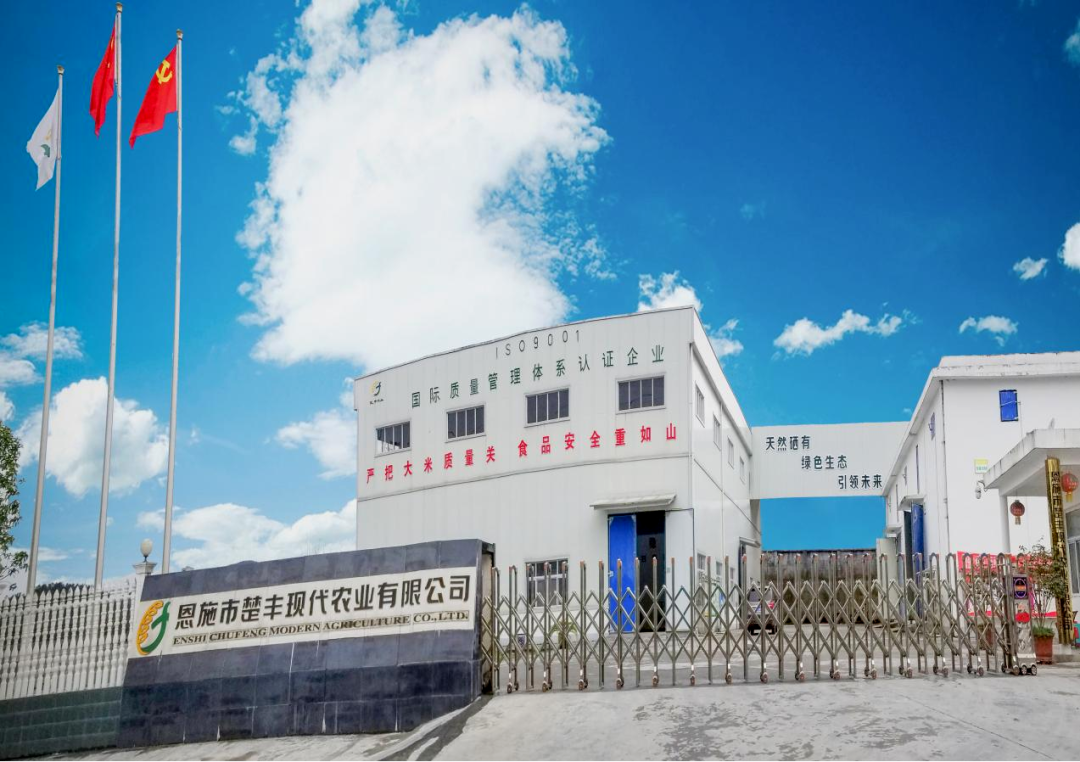 恩施富硒大米生产