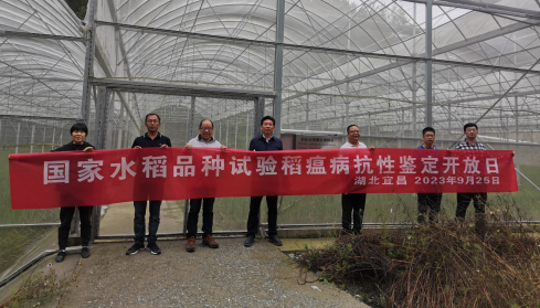 富硒优质大米购买